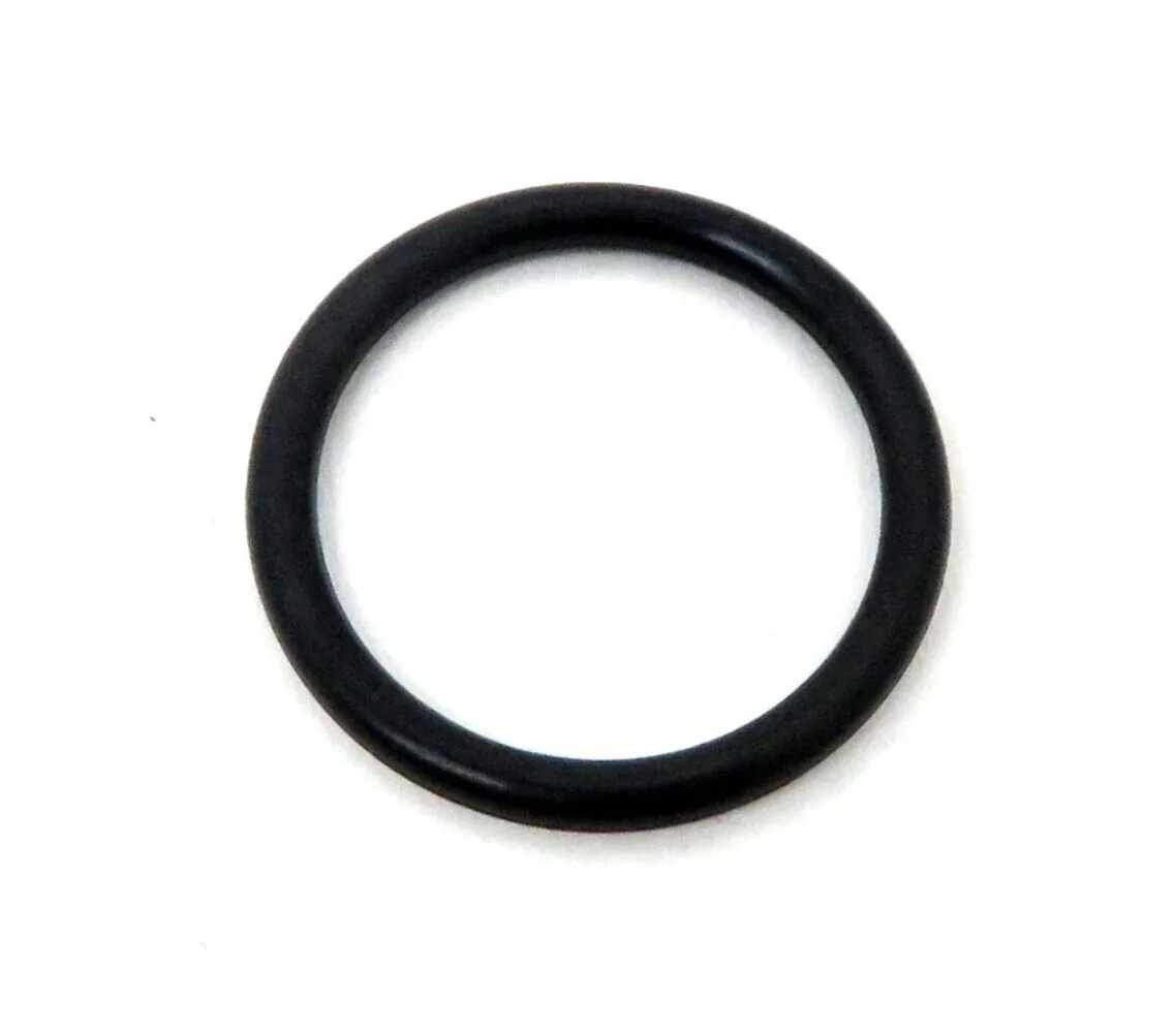NP205 Pilot Roller Bearing O-ring (GM) — Precision International IPN6-3435L