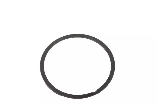 GM Front Differential Bearing Shim 25189909