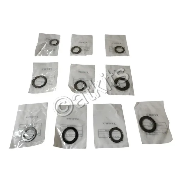 2007-2008 Chrysler 62TE Bearing Kit - SONNAX (10 Bearings) image 3