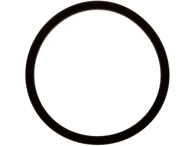1991-1996 Buick Roadmaster & 2004-2007 Buick Rainier Auto Trans Accumulator Piston Seal 24VMPKH21