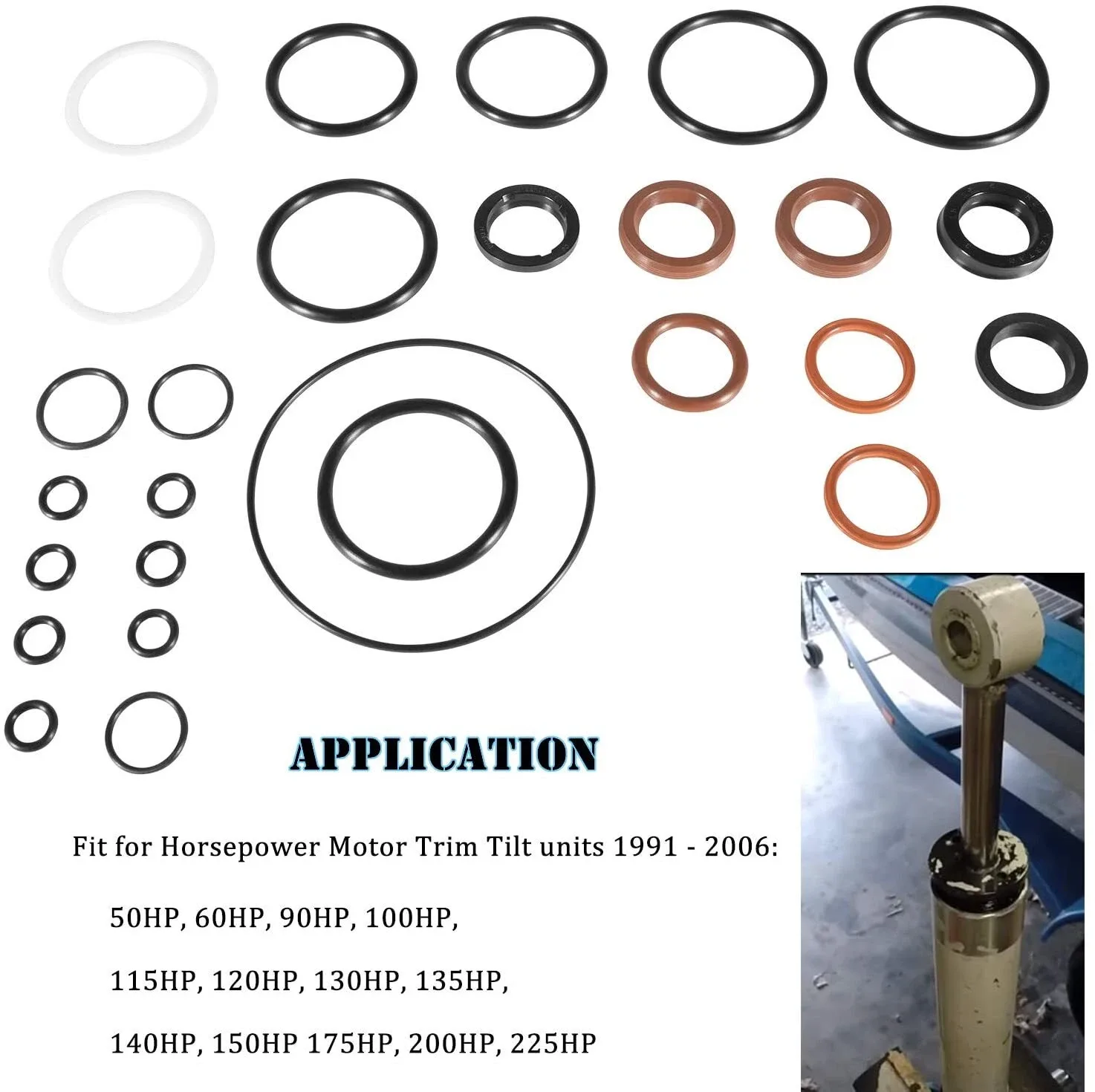 1991-2006 Trim & Tilt O-Ring & Seal Rebuild Kit 434519 for Motor Trim Tilt image 2