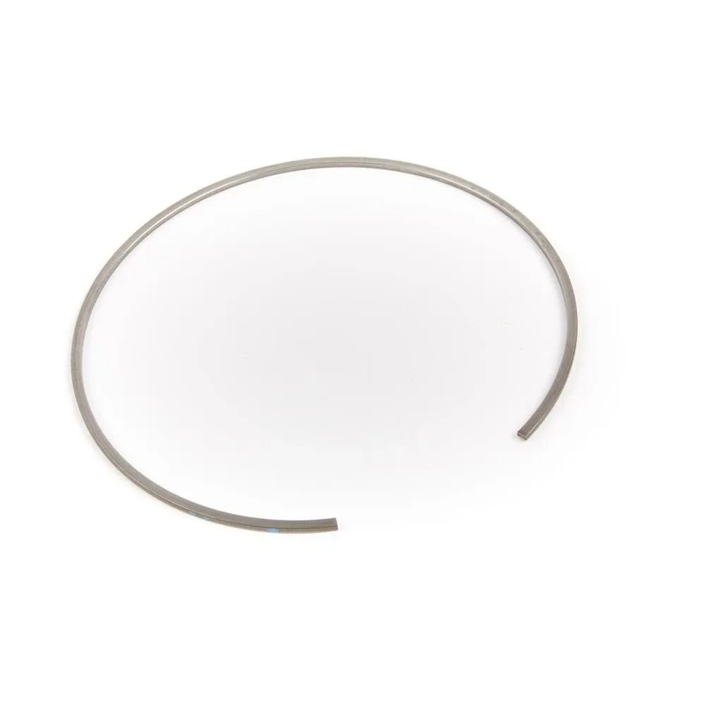 Genuine General Motors OE Ring 24259301