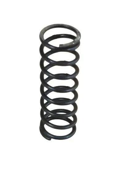 5R55N / 5R55WS Intermediate Band Control Valve Spring - Ford
