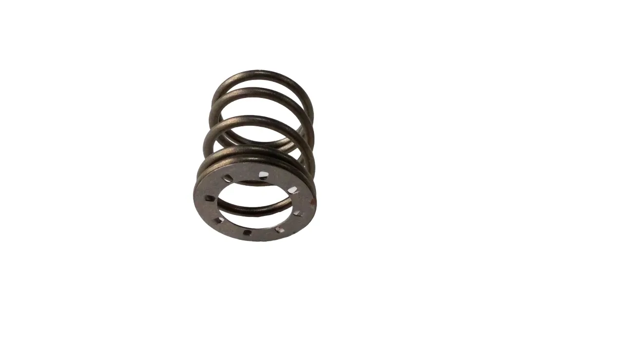 GM 24200166 4th Band Servo Spring Assembly image 2