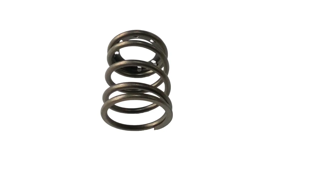 GM 24200166 4th Band Servo Spring Assembly image 3