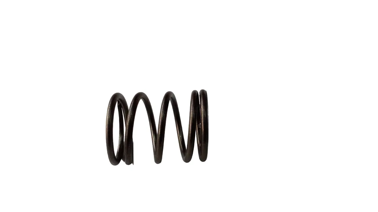 GM 24200166 4th Band Servo Spring Assembly