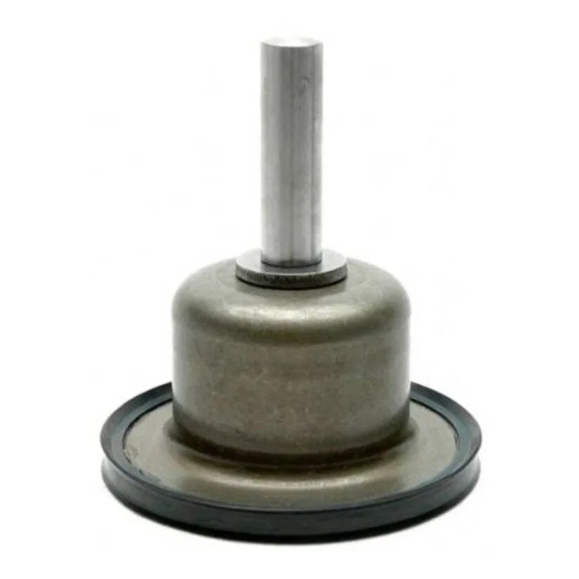 2002-2010 Ford Explorer & Mustang 5R55WS Low/Reverse Servo Piston - 46912a