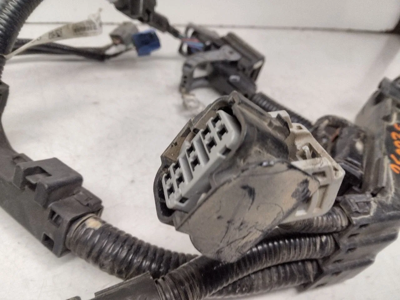 2019 Honda Accord Transmission Wire Harness 658 image 3