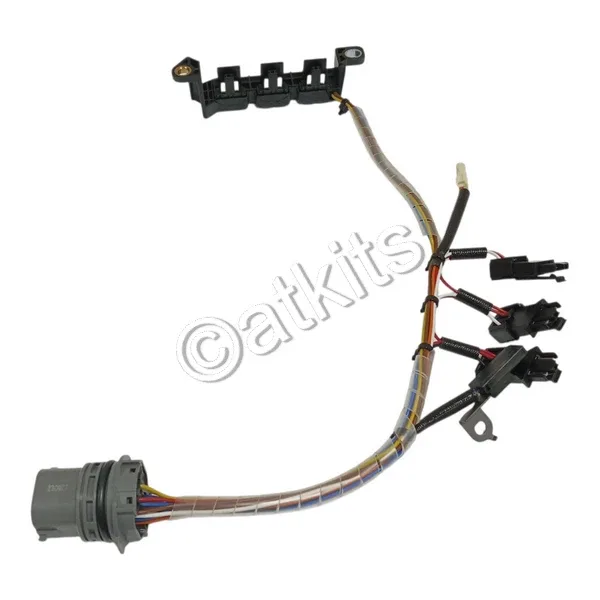 Hyundai Kappa Internal Wire Harness MOBIS 48879-02200 image 2