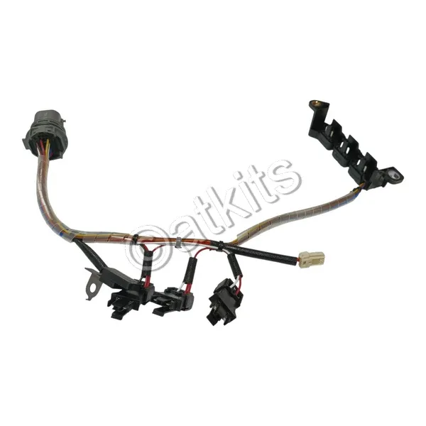 Hyundai Kappa Internal Wire Harness MOBIS 48879-02200 image 3