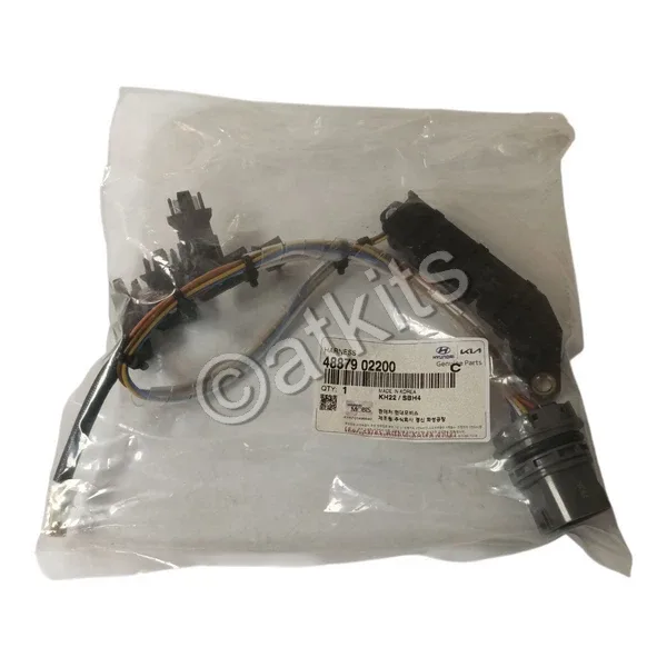 Hyundai Kappa Internal Wire Harness MOBIS 48879-02200
