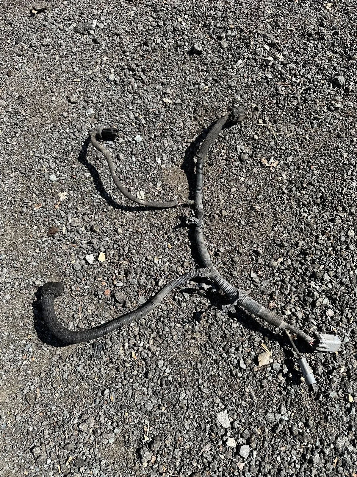2000 Ford E350 Transmission Wire Harness E40D YC25-7C078