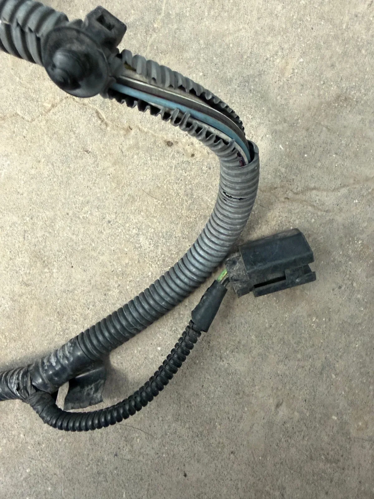 2003 Ford Focus 5-Speed Manual Transmission Wiring Harness (SOHC SPI) image 3