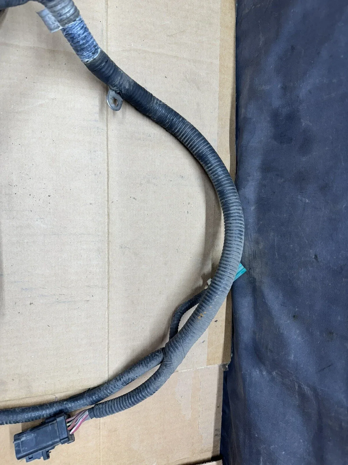1999-2002 Ford Mustang GT 4R70W Transmission Wiring Harness image 4