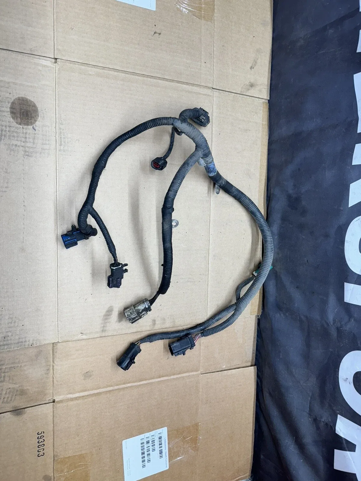 1999-2002 Ford Mustang GT 4R70W Transmission Wiring Harness