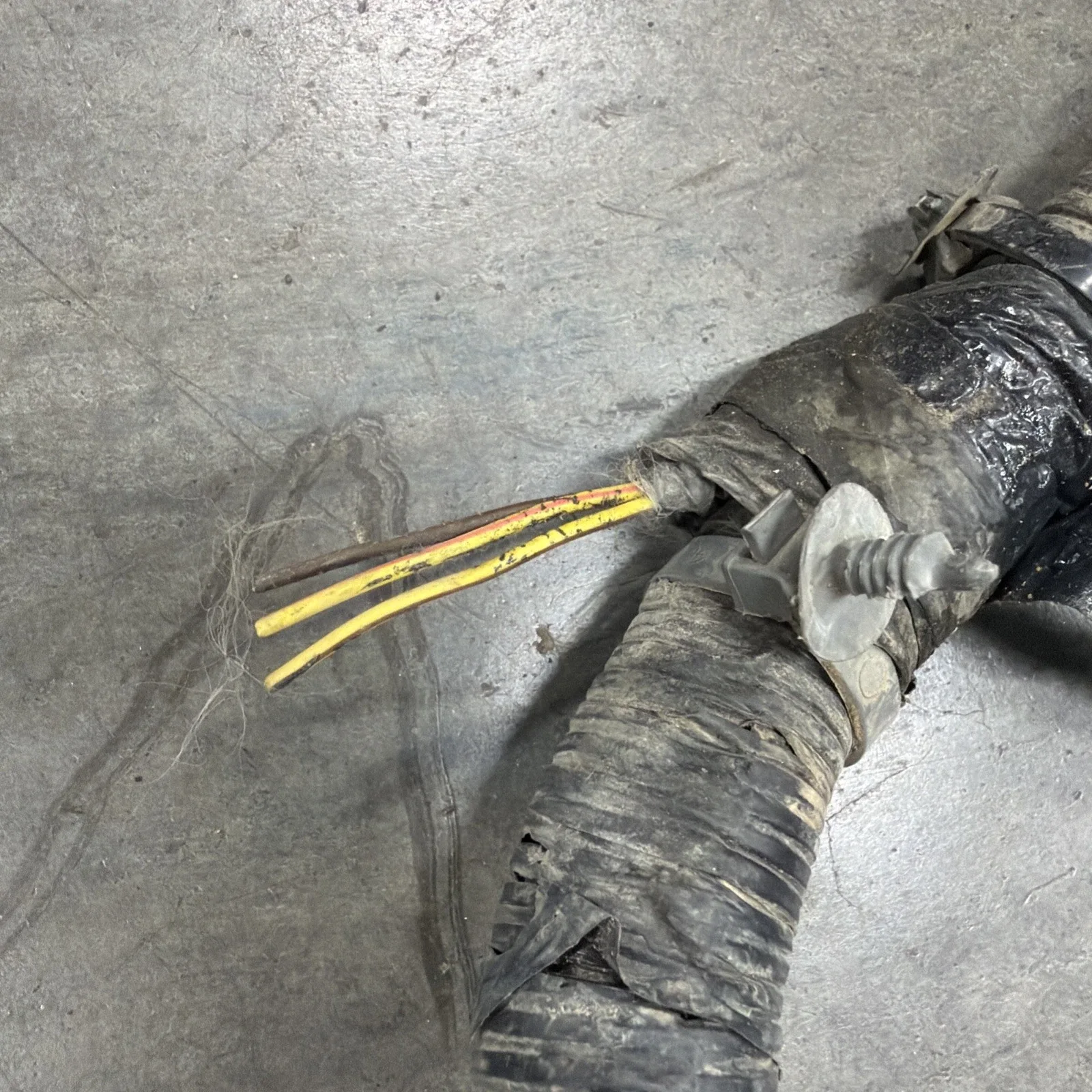 OEM Mopar 2016-24 Ram 2500/35 6.7L 68RFE Transmission Wiring Harness P68244119AC image 2