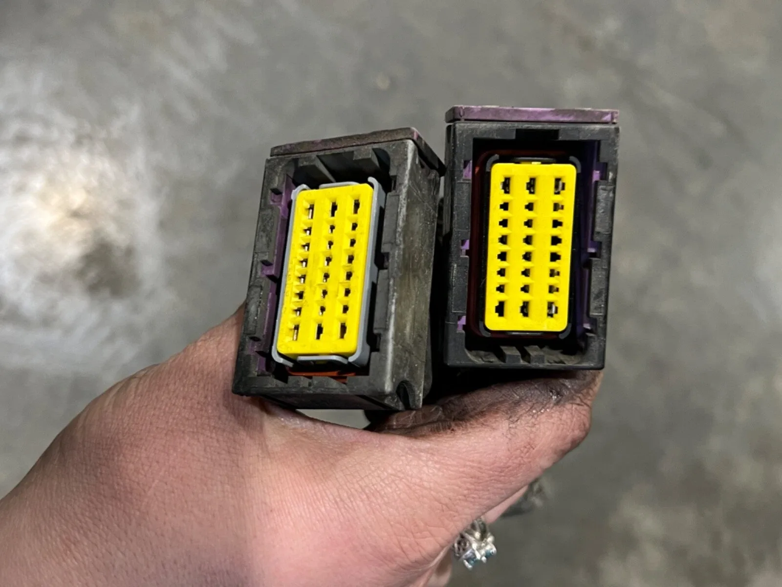 2004 Dodge Ram 48re Automatic Transmission Harness 56051724AA (5.9 Cummins) image 2
