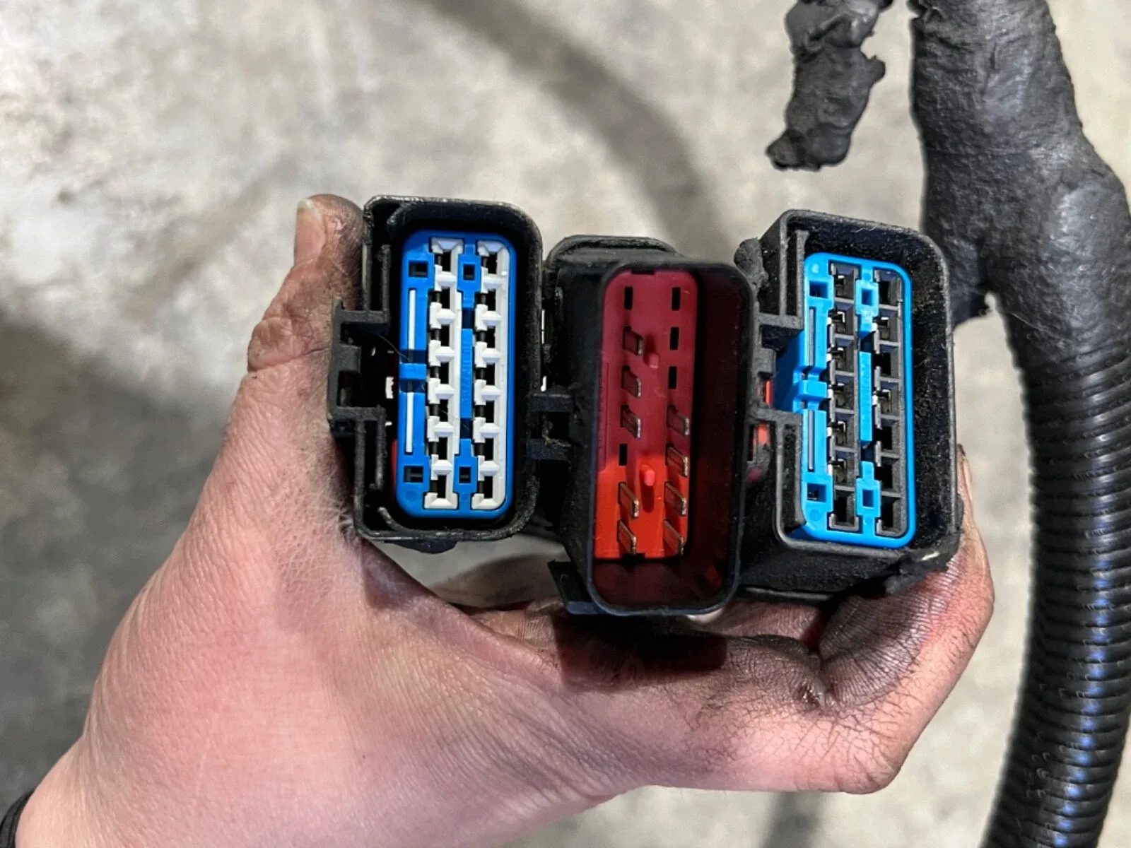 2004 Dodge Ram 48re Automatic Transmission Harness 56051724AA (5.9 Cummins) image 3