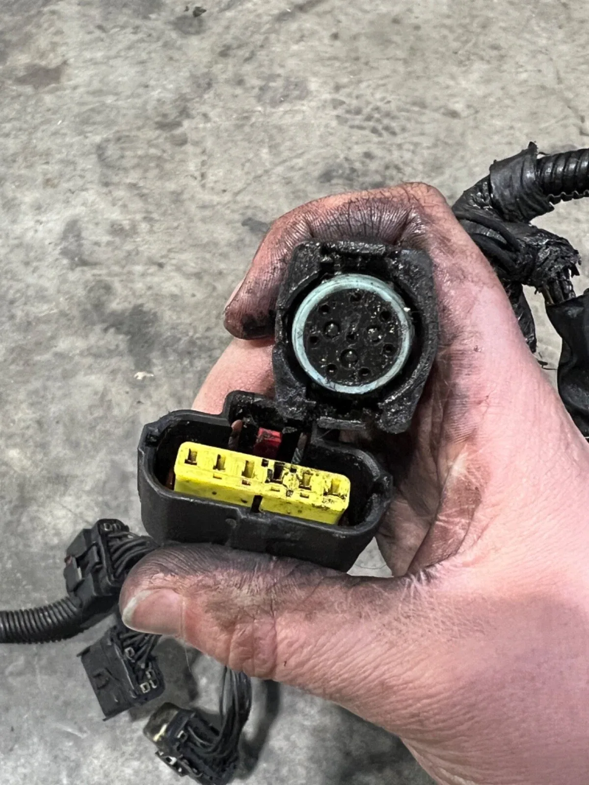 2004 Dodge Ram 48re Automatic Transmission Harness 56051724AA (5.9 Cummins) image 4