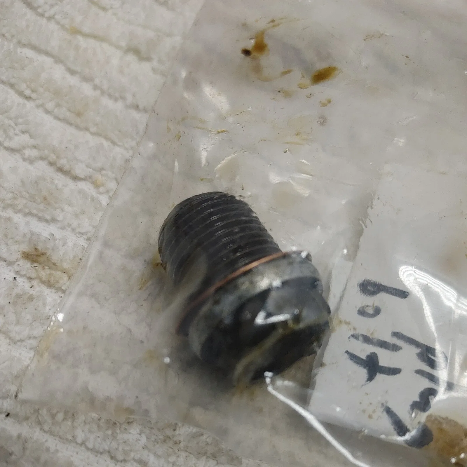 2004 04 Volvo XC90 V6 Twin Turbo Oil Pan Drain Bolt Nut with Washer OEM used image 3