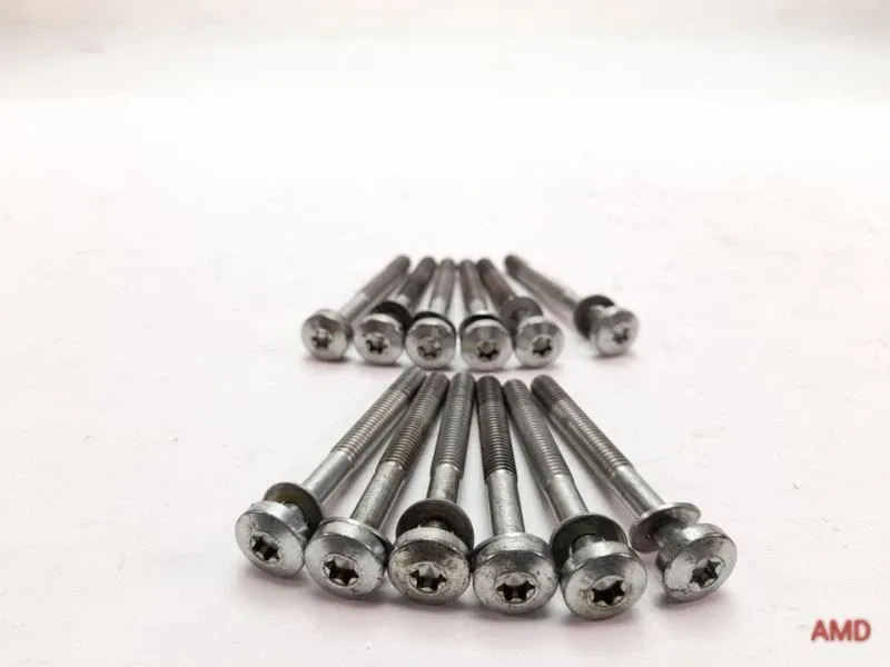 1997 BMW E39 540i/528i/525i/530i Transmission Valve Body Bolt Set 24341423113 image 2
