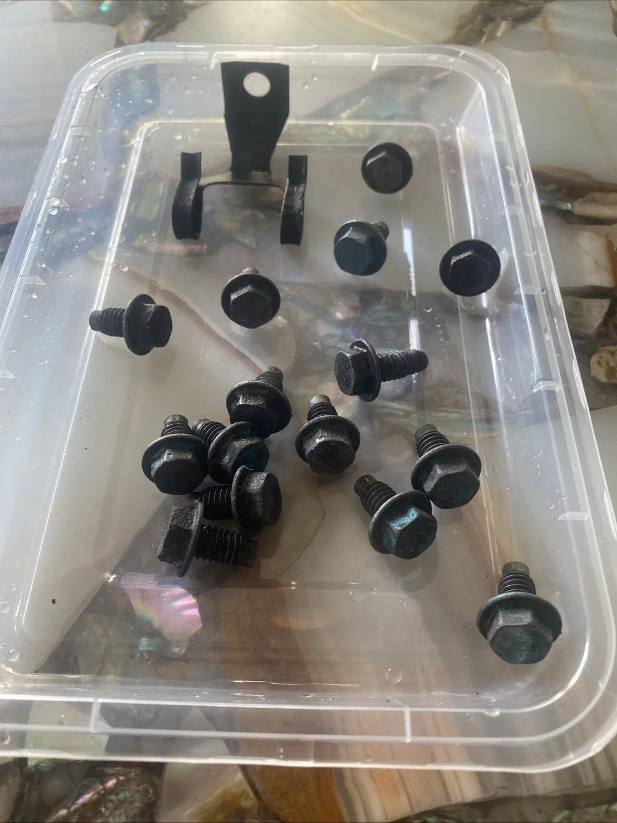 Trans Am 301 Transmission Clip With Oil Pan Bolts