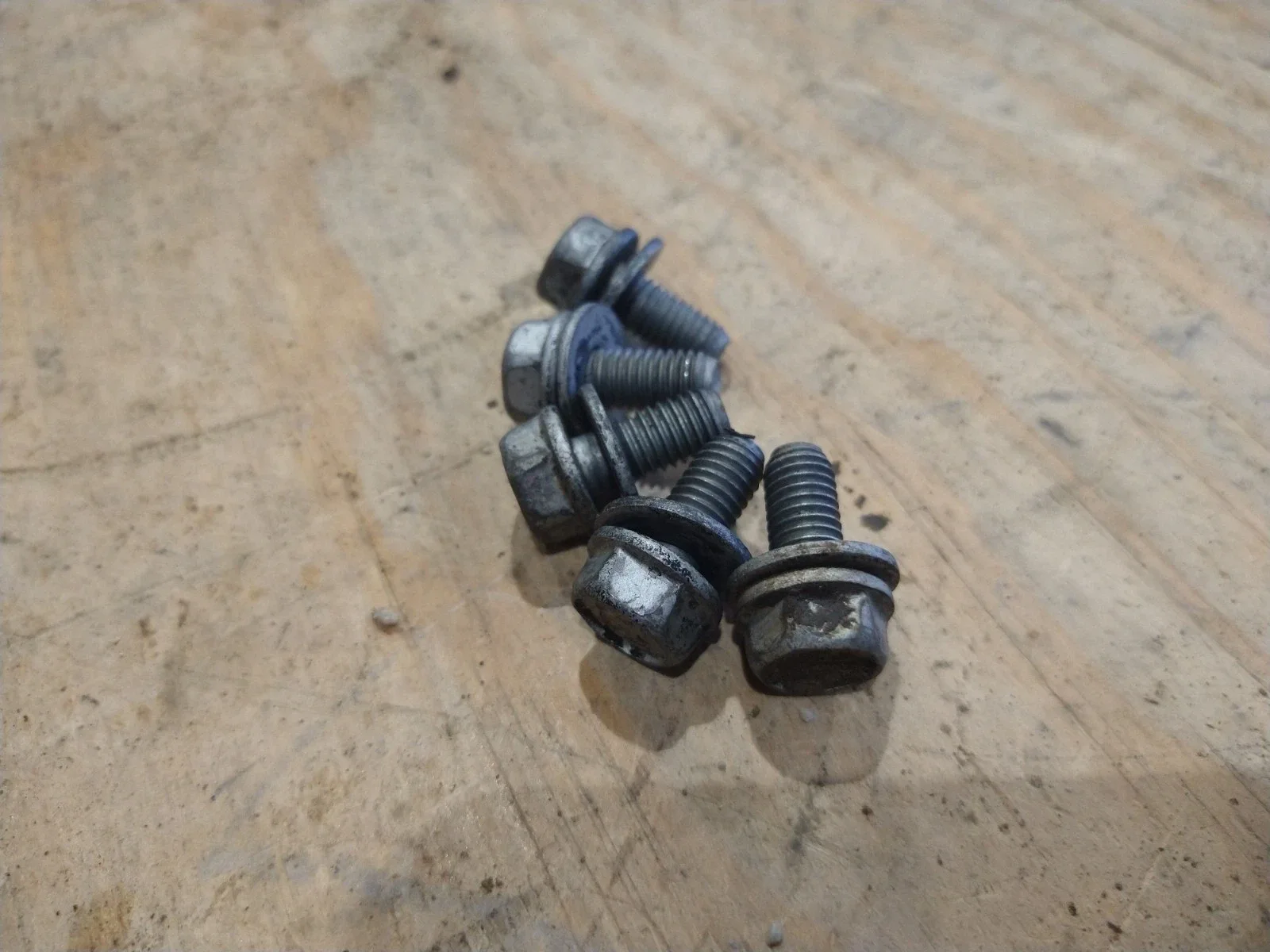 24231519 GM set of 5 Transmission Oil Pan Bolt image 2