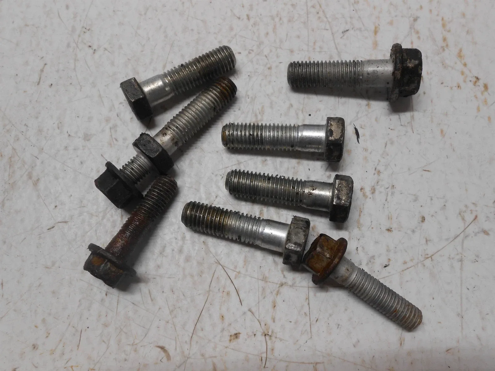 2006 chevrolet impala Transmission Bell Housing Bolts