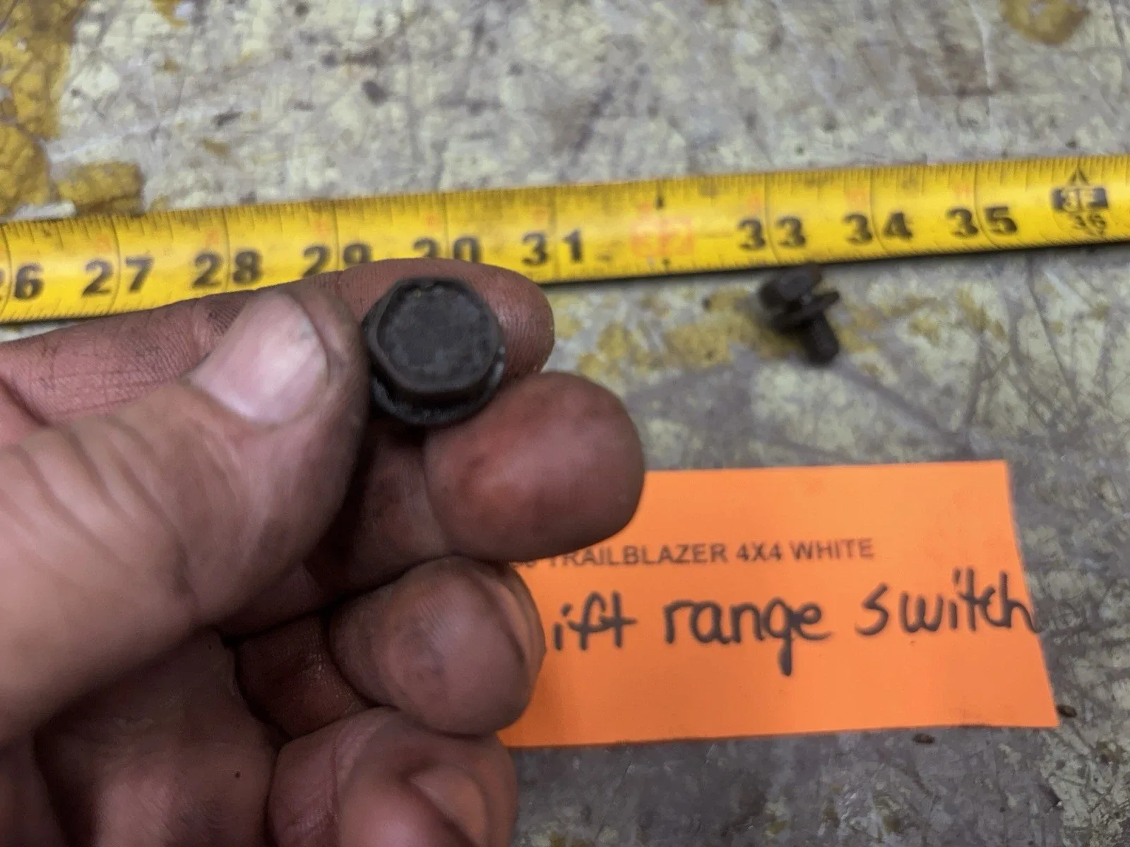 02-09 Trailblazer  Transmission Shift Range Switch Sensor Bolts Set Of 2 image 4