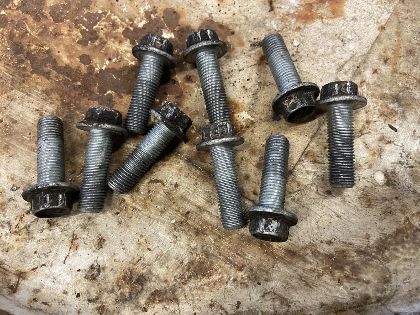 Jeep Wrangler YJ AX5  Trans Bell housing to Transmission Mounting Bolts image 2
