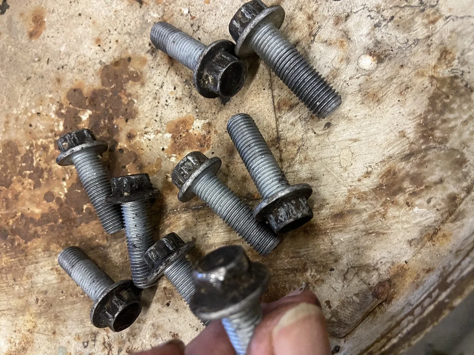 Jeep Wrangler YJ AX5  Trans Bell housing to Transmission Mounting Bolts image 3