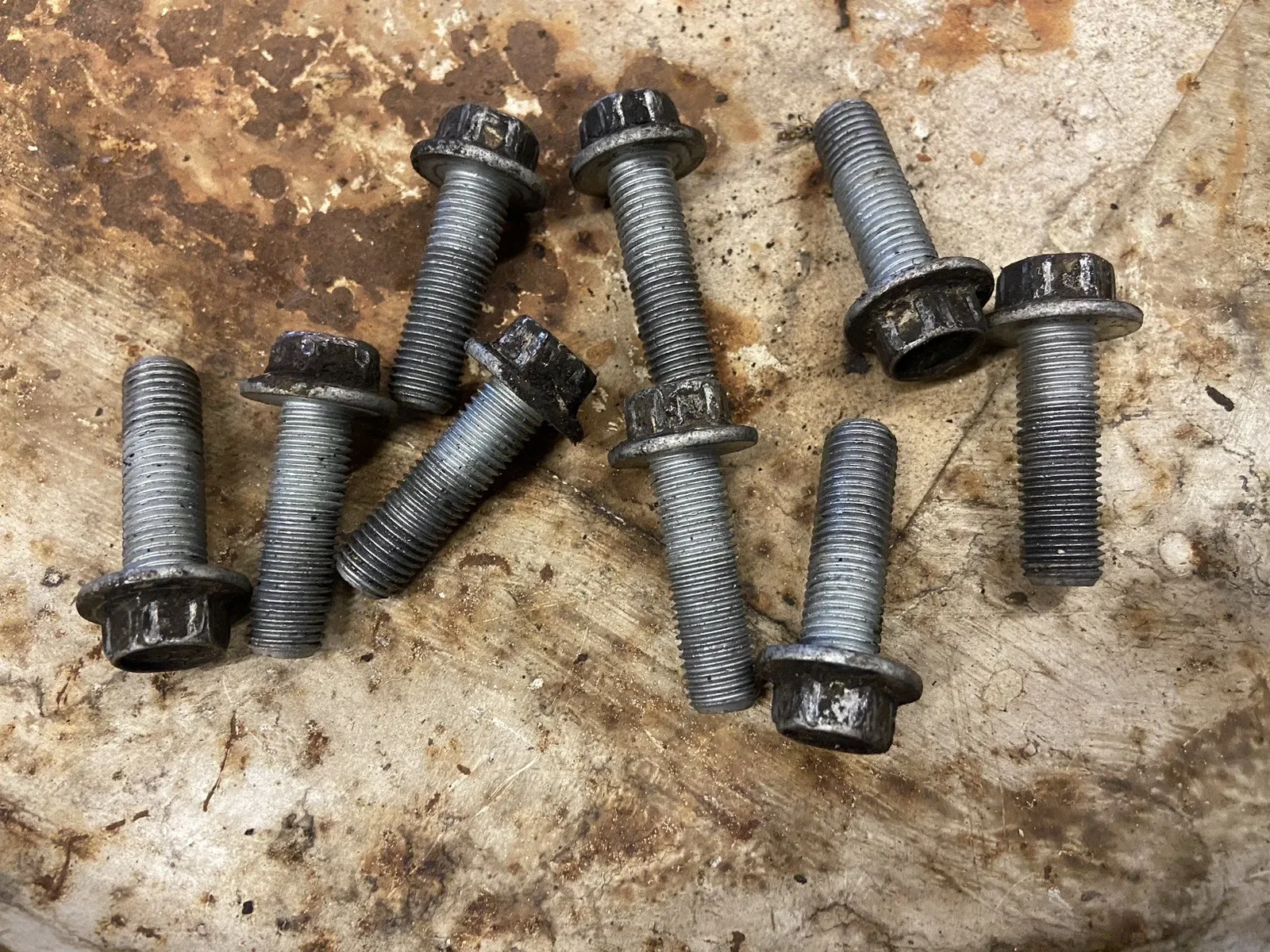 Jeep Wrangler YJ AX5  Trans Bell housing to Transmission Mounting Bolts