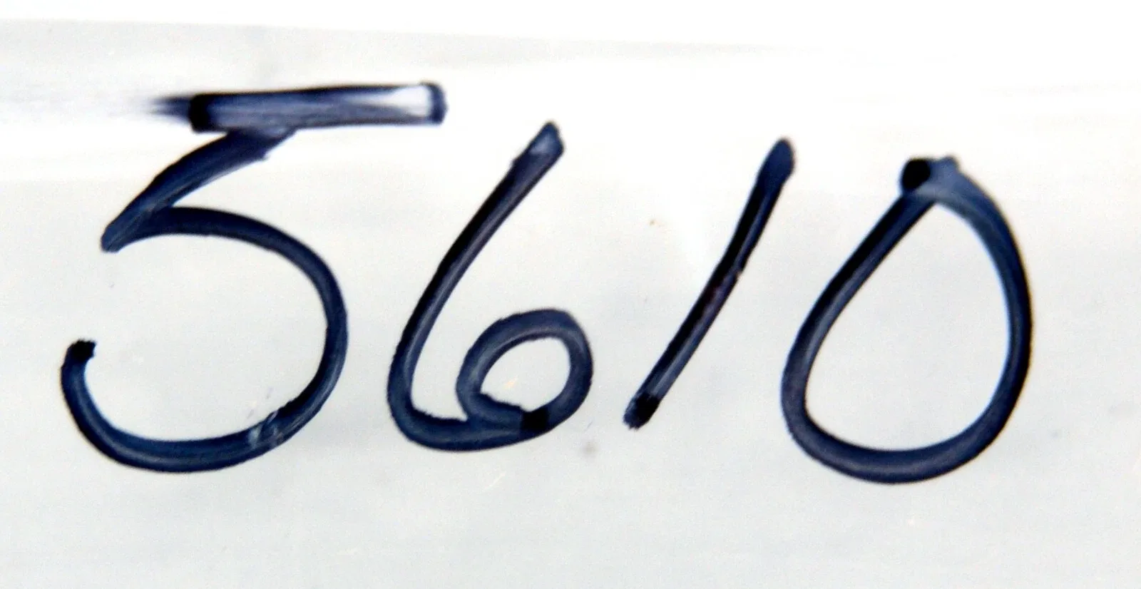 Ford E0ZZ-7052-A Extension Housing Oil Seal OEM 5610 image 4